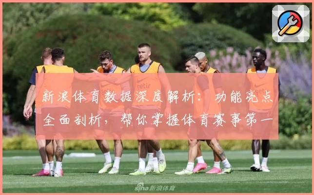 新浪体育数据深度解析：功能亮点全面剖析，帮你掌握体育赛事第一手资讯