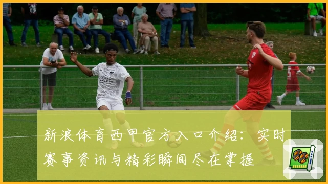 新浪体育西甲官方入口介绍：实时赛事资讯与精彩瞬间尽在掌握