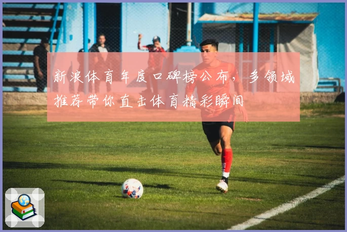 新浪体育年度口碑榜公布,多领域推荐带你直击体育精彩瞬间