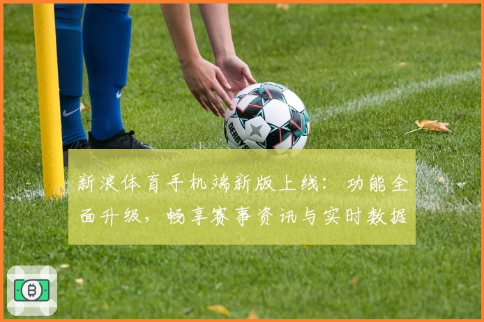 新浪体育手机端新版上线：功能全面升级，畅享赛事资讯与实时数据的极致体验