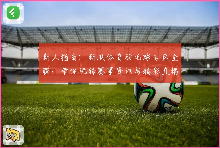 新人指南：新浪体育羽毛球专区全解，带你玩转赛事资讯与精彩直播