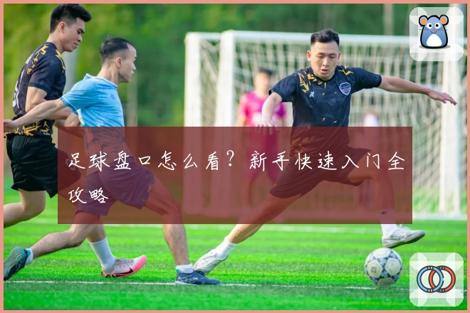 足球盘口怎么看?新手快速入门全攻略