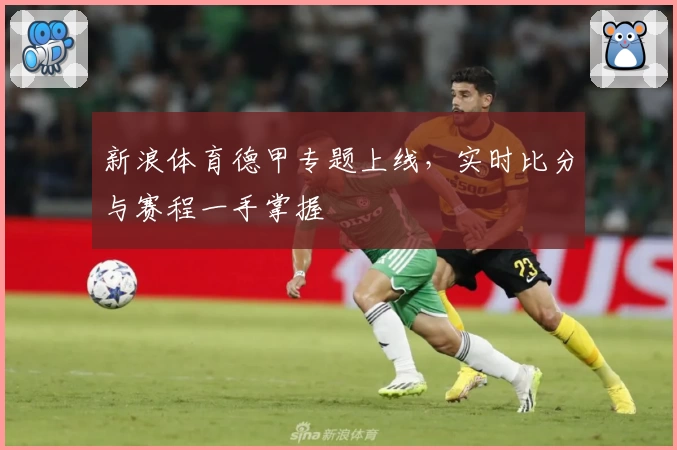 新浪体育德甲专题上线,实时比分与赛程一手掌握