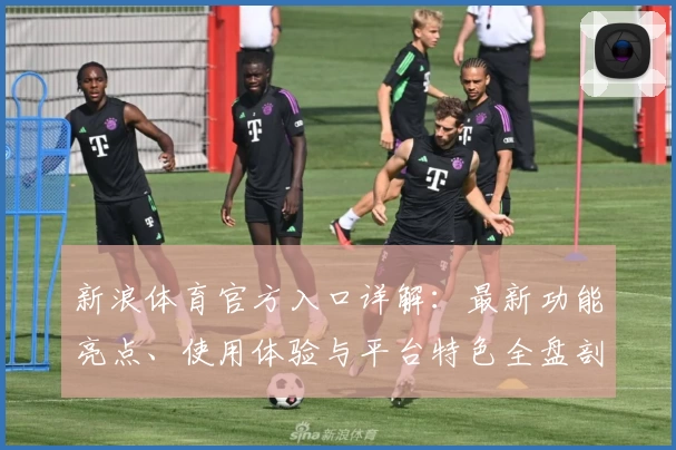 新浪体育官方入口详解：最新功能亮点、使用体验与平台特色全盘剖析