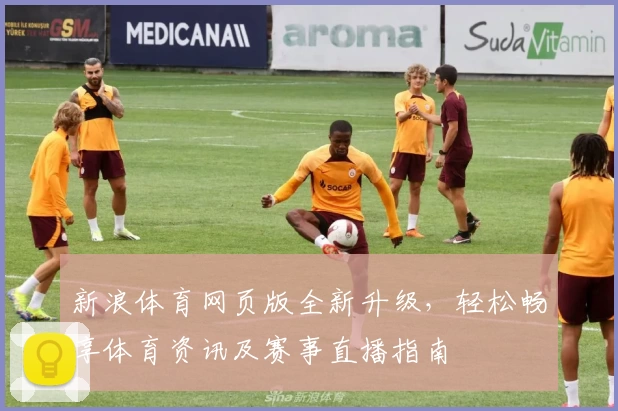 新浪体育网页版全新升级,轻松畅享体育资讯及赛事直播指南