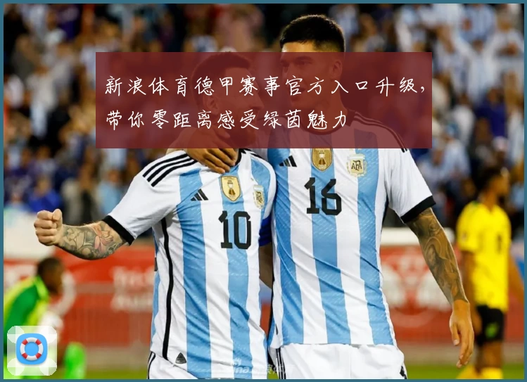 新浪体育德甲赛事官方入口升级，带你零距离感受绿茵魅力