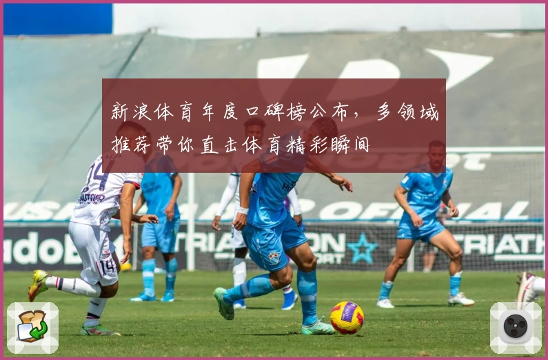 新浪体育年度口碑榜公布,多领域推荐带你直击体育精彩瞬间