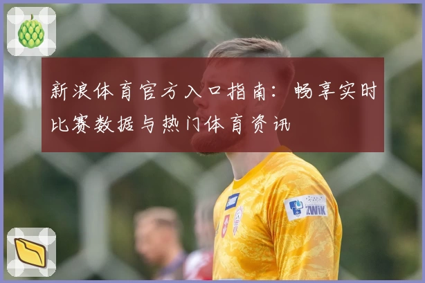 新浪体育官方入口指南：畅享实时比赛数据与热门体育资讯