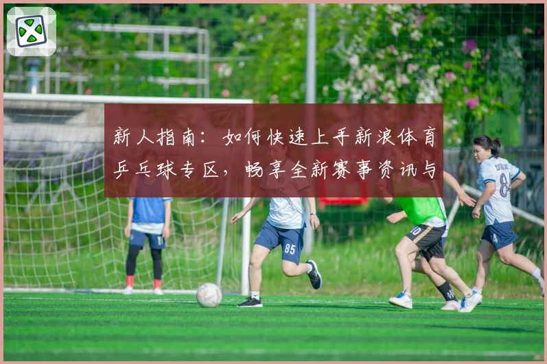 新人指南：如何快速上手新浪体育乒乓球专区，畅享全新赛事资讯与互动体验